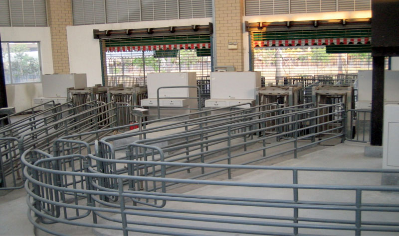 广州嘉禾牲畜交易市场