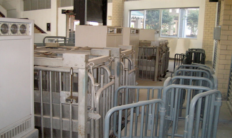 广州嘉禾牲畜交易市场